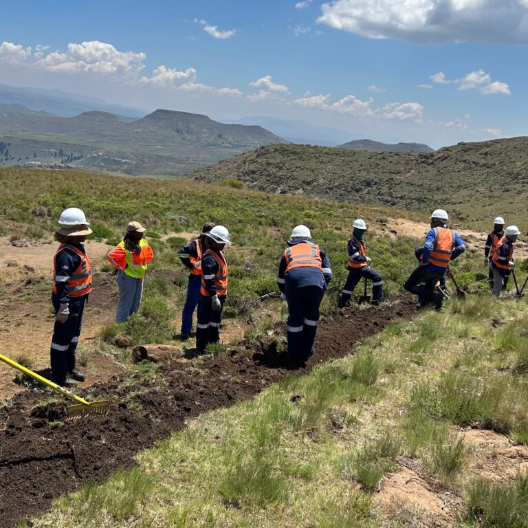 15212271-3990-4263-99dd-2c43c6d56b17